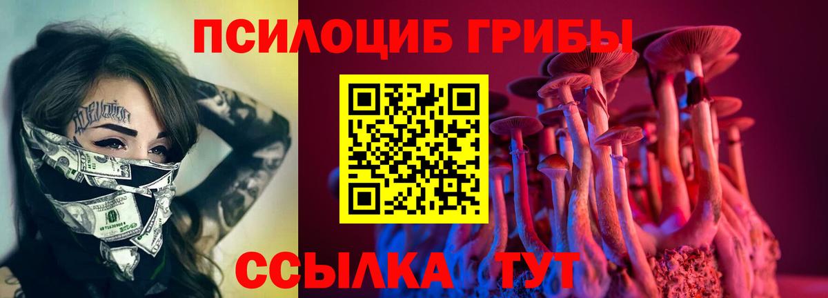 Псилоцибиновые грибы Cubensis Лесозаводск